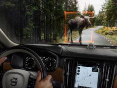 Sistema de Volvo de detección de animales en la carretera