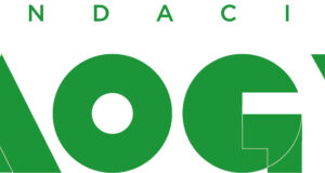 Nace la Fundación MOGY