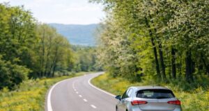 Conductor-sufriendo-efectos-de-la-alergia-al-polen-