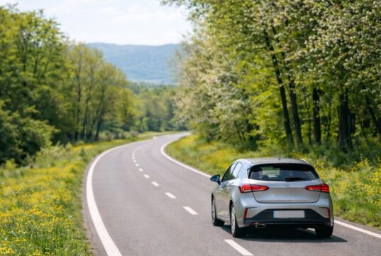 Conductor-sufriendo-efectos-de-la-alergia-al-polen-