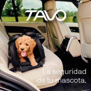 Cachorro de perro de color marrón claro dentro de un transportín TAVO negro, situado sobre el asiento trasero de un automóvil.