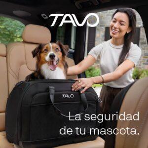 Mujer junto a un vehículo colocando un transportín TAVO de color negro con un perro en su interior, destinado al transporte de mascotas.
